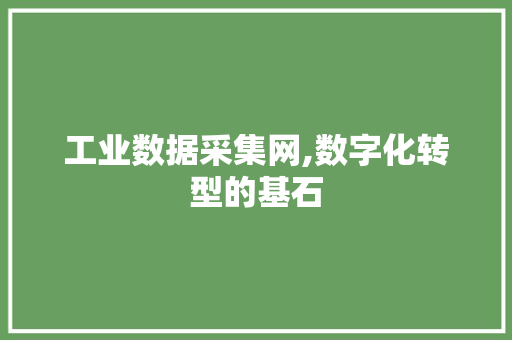 工业数据采集网,数字化转型的基石