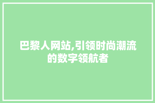 巴黎人网站,引领时尚潮流的数字领航者 CSS