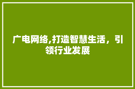 广电网络,打造智慧生活，引领行业发展