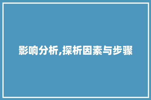 影响分析,探析因素与步骤