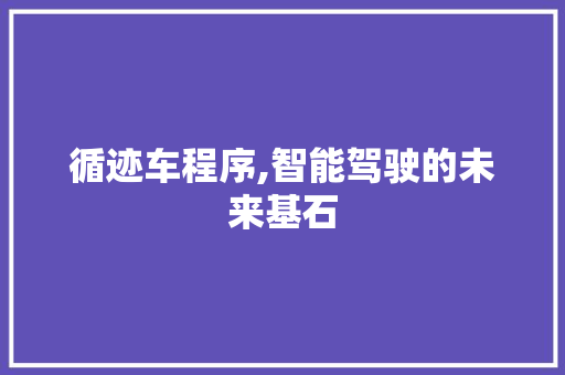 循迹车程序,智能驾驶的未来基石 PHP