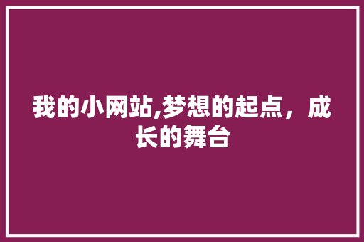 我的小网站,梦想的起点，成长的舞台 Java