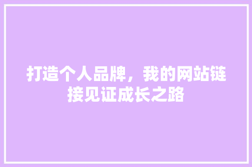 打造个人品牌，我的网站链接见证成长之路