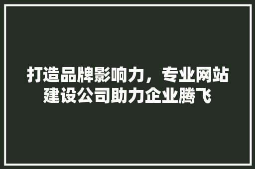 打造品牌影响力，专业网站建设公司助力企业腾飞