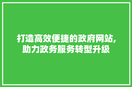 打造高效便捷的政府网站,助力政务服务转型升级