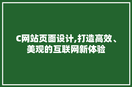 C网站页面设计,打造高效、美观的互联网新体验 Vue.js