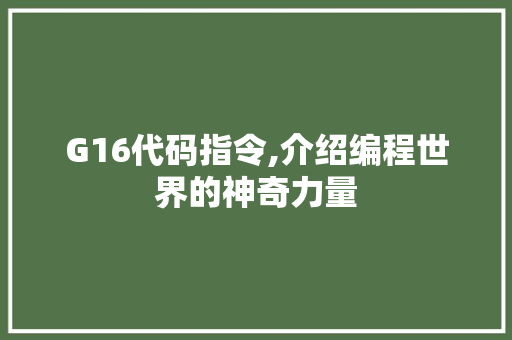 G16代码指令,介绍编程世界的神奇力量