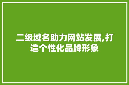 二级域名助力网站发展,打造个性化品牌形象