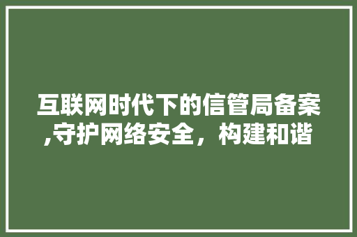 互联网时代下的信管局备案,守护网络安全，构建和谐网络空间