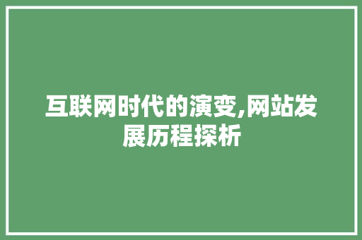 互联网时代的演变,网站发展历程探析