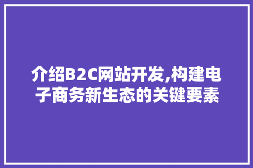 介绍B2C网站开发,构建电子商务新生态的关键要素 CSS