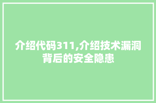 介绍代码311,介绍技术漏洞背后的安全隐患