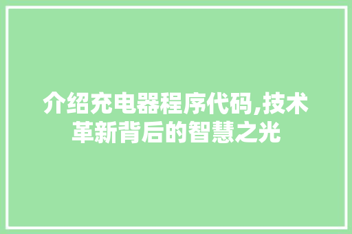 介绍充电器程序代码,技术革新背后的智慧之光