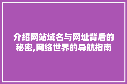 介绍网站域名与网址背后的秘密,网络世界的导航指南 Python