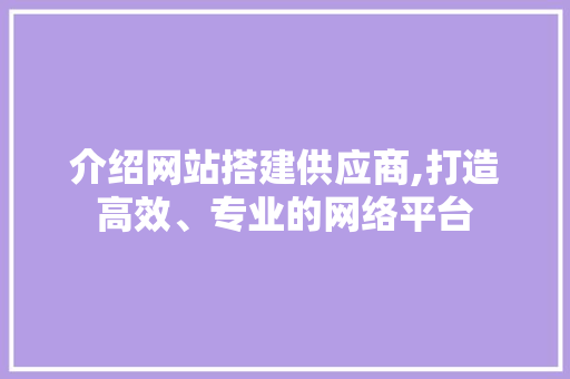 介绍网站搭建供应商,打造高效、专业的网络平台