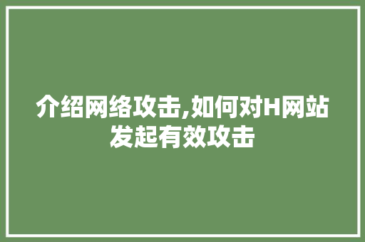 介绍网络攻击,如何对H网站发起有效攻击