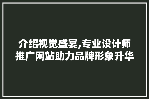 介绍视觉盛宴,专业设计师推广网站助力品牌形象升华 SQL