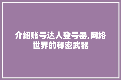 介绍账号达人登号器,网络世界的秘密武器