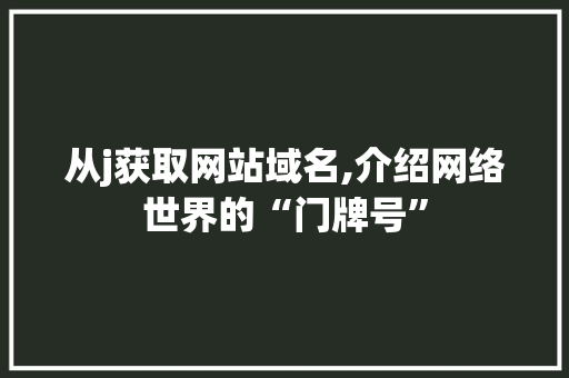 从j获取网站域名,介绍网络世界的“门牌号” Python