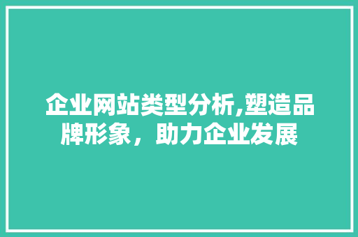 企业网站类型分析,塑造品牌形象，助力企业发展 NoSQL