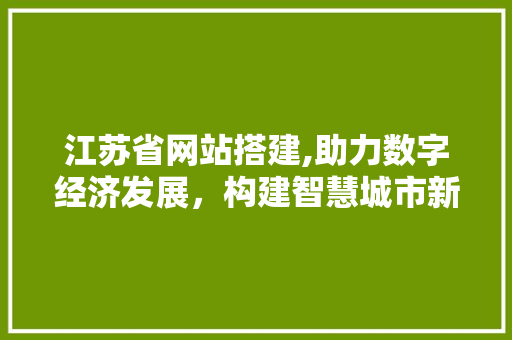 江苏省网站搭建,助力数字经济发展，构建智慧城市新格局