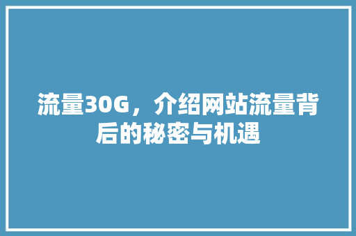 流量30G，介绍网站流量背后的秘密与机遇