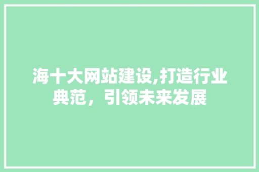 海十大网站建设,打造行业典范，引领未来发展