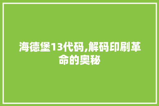 海德堡13代码,解码印刷革命的奥秘 Webpack