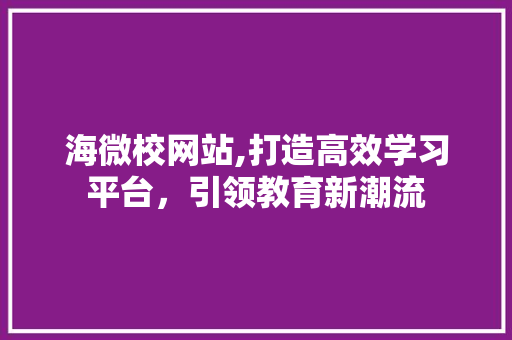 海微校网站,打造高效学习平台，引领教育新潮流 React