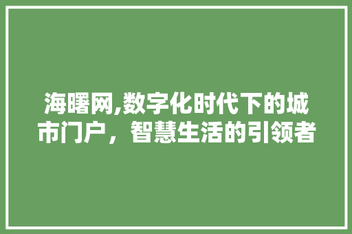 海曙网,数字化时代下的城市门户，智慧生活的引领者