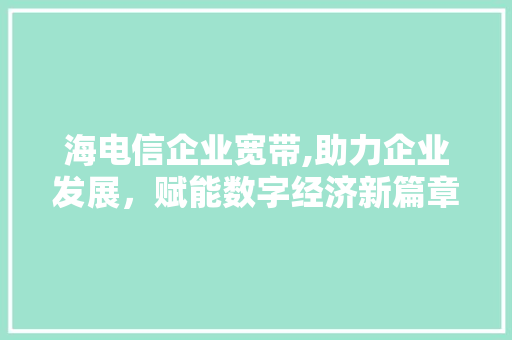 海电信企业宽带,助力企业发展，赋能数字经济新篇章