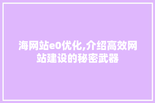 海网站e0优化,介绍高效网站建设的秘密武器 Java