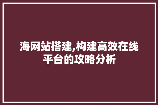 海网站搭建,构建高效在线平台的攻略分析