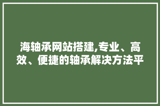 海轴承网站搭建,专业、高效、便捷的轴承解决方法平台