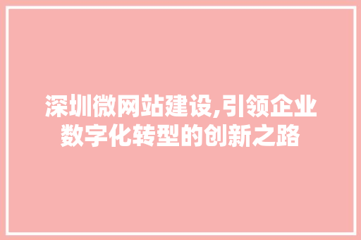 深圳微网站建设,引领企业数字化转型的创新之路 Webpack