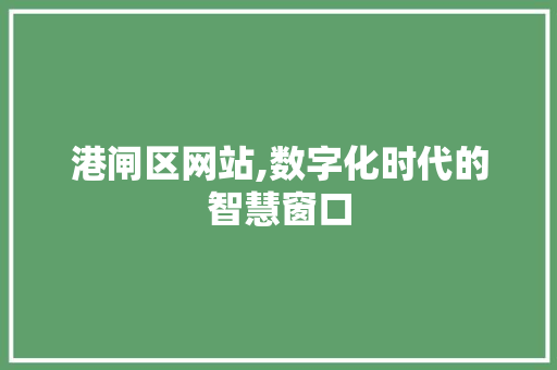 港闸区网站,数字化时代的智慧窗口 SQL