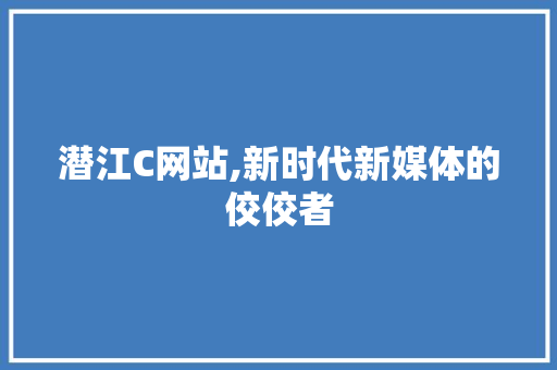 潜江C网站,新时代新媒体的佼佼者