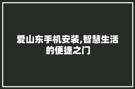 爱山东手机安装,智慧生活的便捷之门