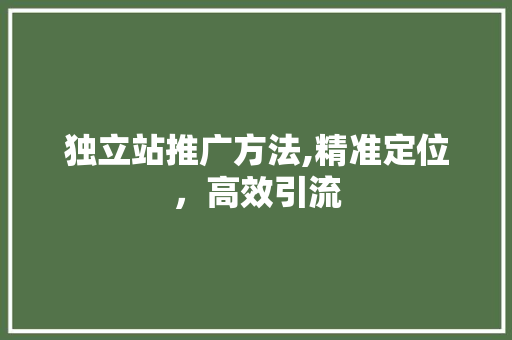 独立站推广方法,精准定位，高效引流 jQuery