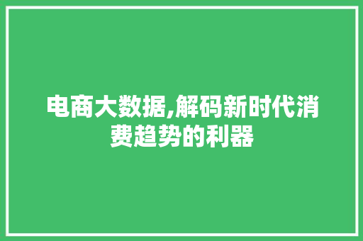 电商大数据,解码新时代消费趋势的利器