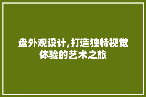 盘外观设计,打造独特视觉体验的艺术之旅