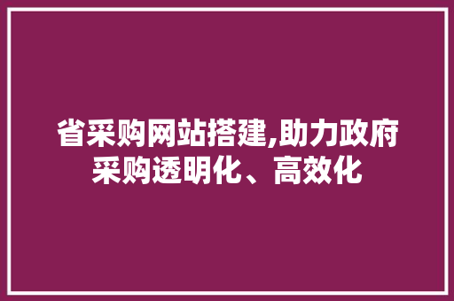 省采购网站搭建,助力政府采购透明化、高效化