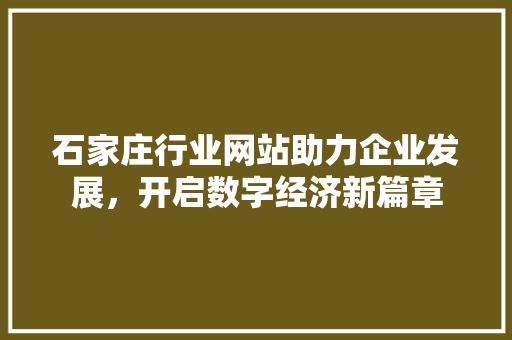 石家庄行业网站助力企业发展，开启数字经济新篇章