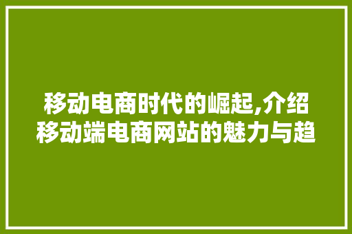 移动电商时代的崛起,介绍移动端电商网站的魅力与趋势