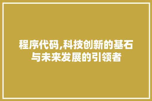 程序代码,科技创新的基石与未来发展的引领者