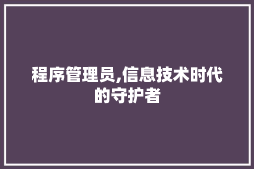 程序管理员,信息技术时代的守护者