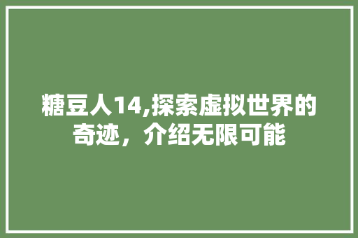 糖豆人14,探索虚拟世界的奇迹，介绍无限可能 PHP