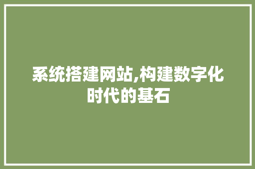 系统搭建网站,构建数字化时代的基石 Docker