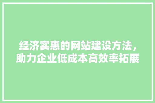 经济实惠的网站建设方法，助力企业低成本高效率拓展市场 NoSQL