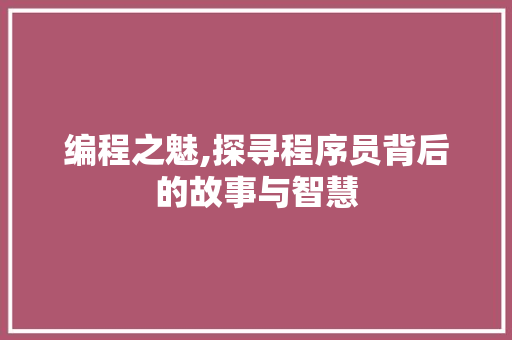 编程之魅,探寻程序员背后的故事与智慧